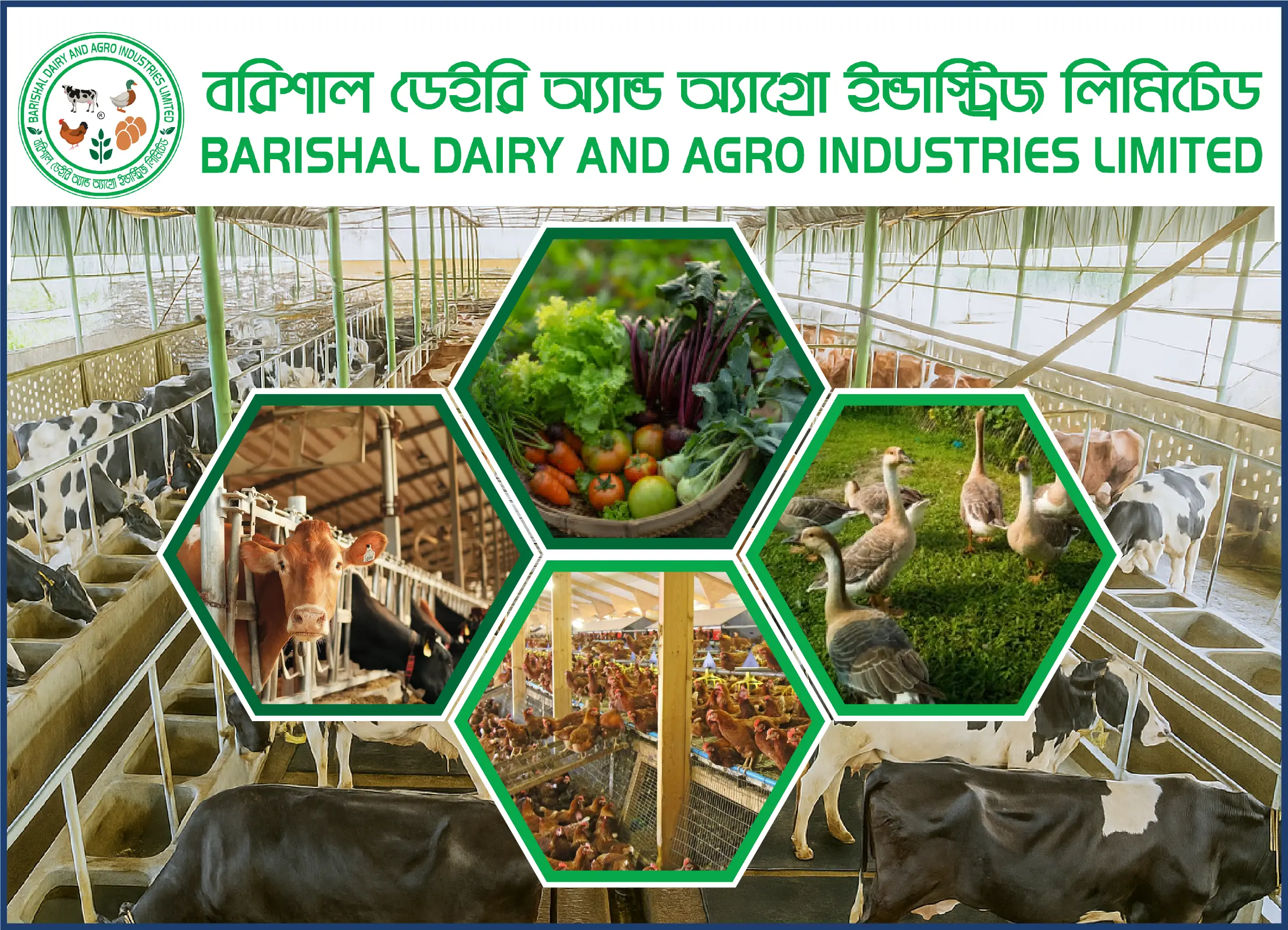 Barishal Dairy