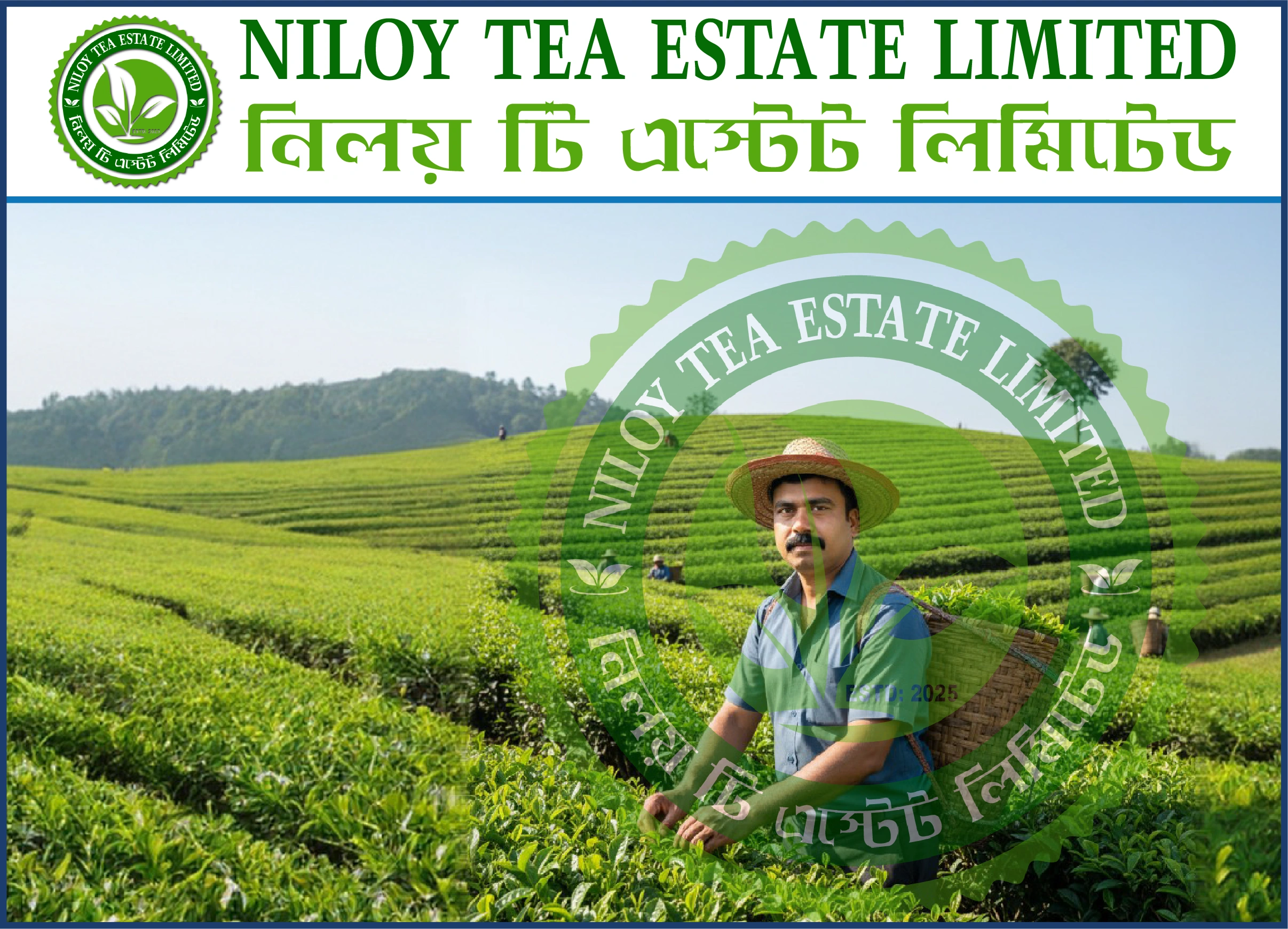 Niloy Tea Estate